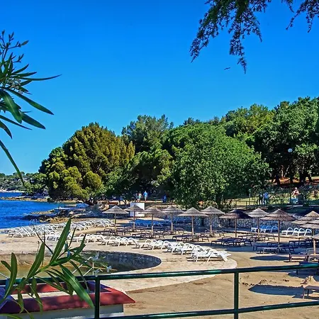 Modern In Croatia With Swimming Pool Apartament