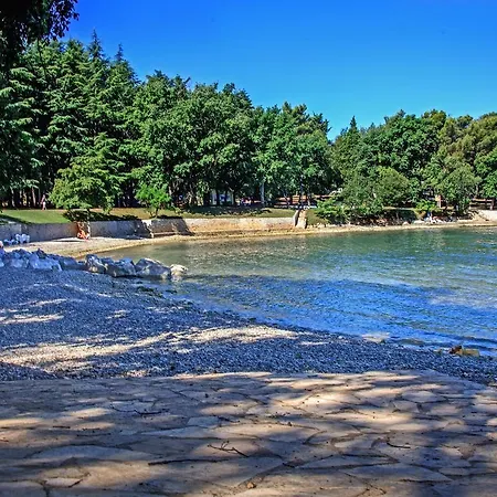 Apartament Modern In Croatia With Swimming Pool *